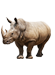 rhino-icon